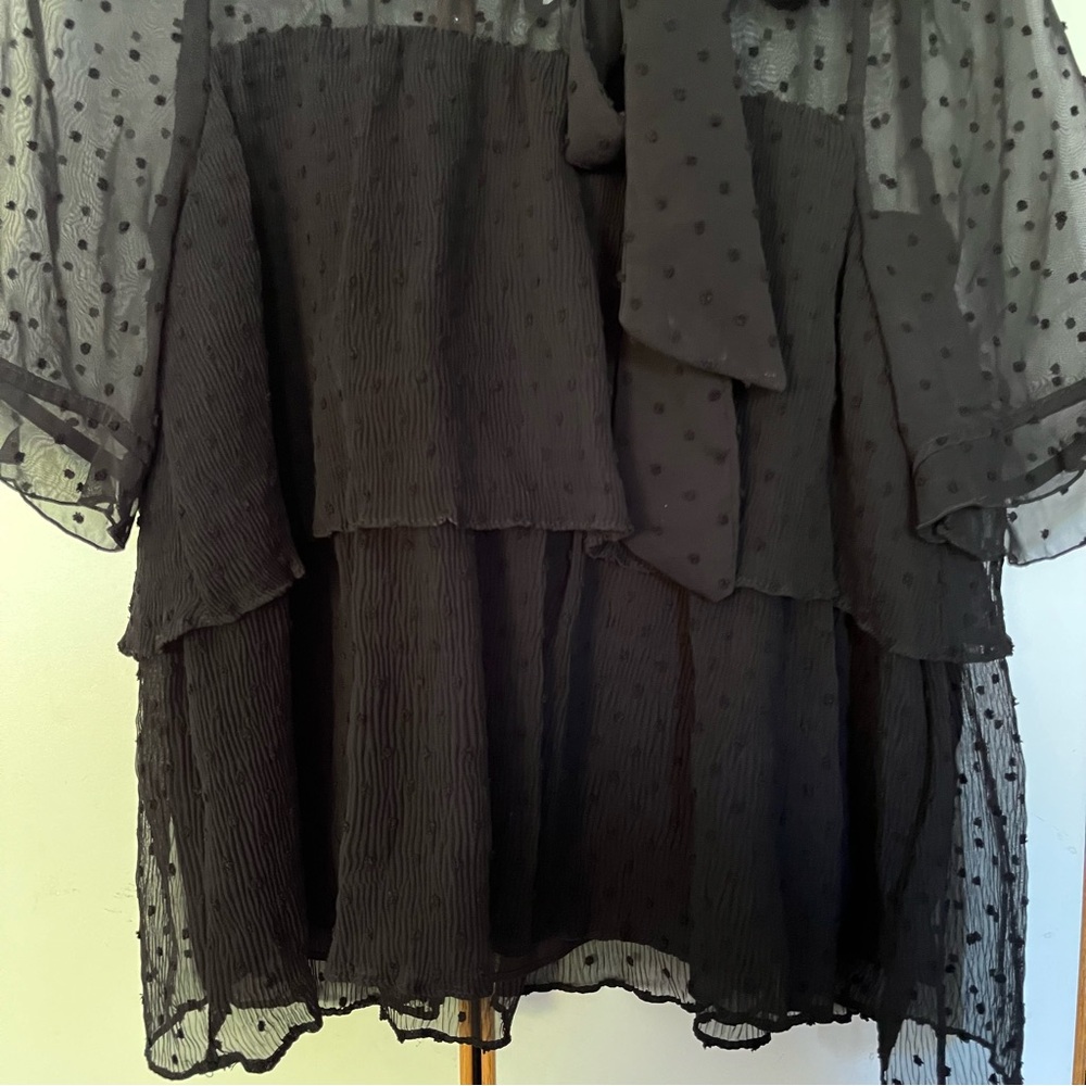 Zara Black Sheer Dot-Tier Tie-Neck Blouse - Picture 7 of 14